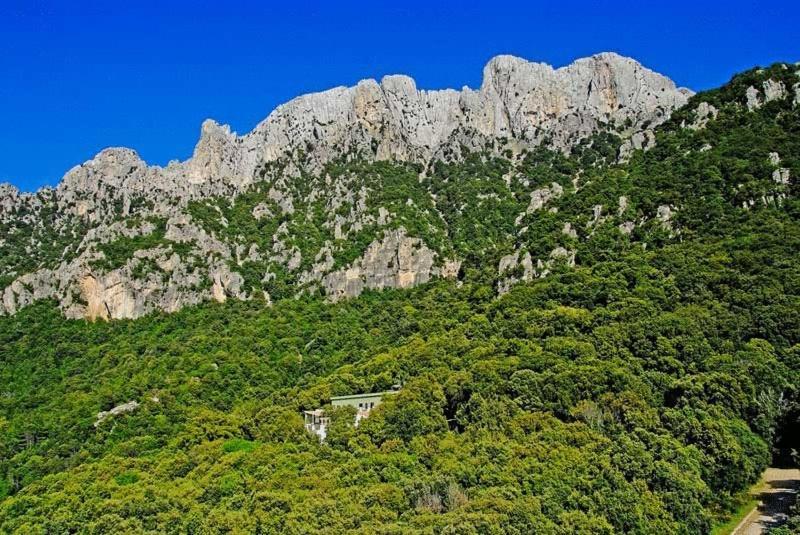 S'Enis Monte Maccione Hotell Oliena Exteriör bild