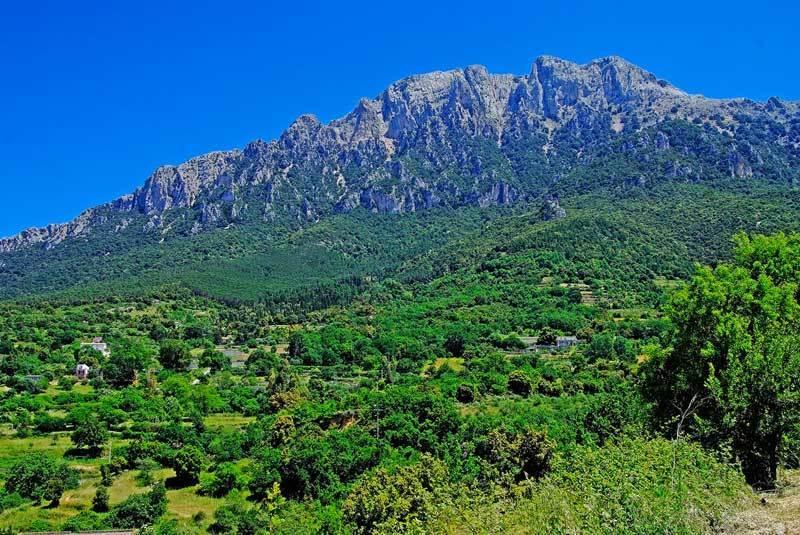 S'Enis Monte Maccione Hotell Oliena Exteriör bild